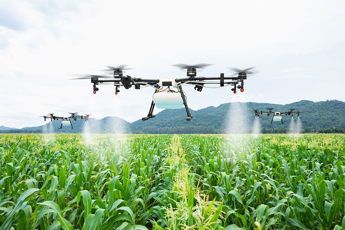 Taking Farming to New Heights: The Rise of Agriculture Drones