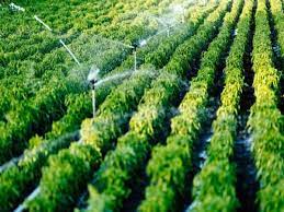 The Irrigation Insider: Maximizing Water Efficiency on the Farm